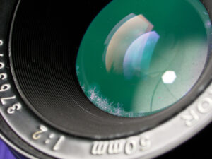 Read more about the article Can You Clean Fungus from a Camera Lens? Causes, Removal & Prevention