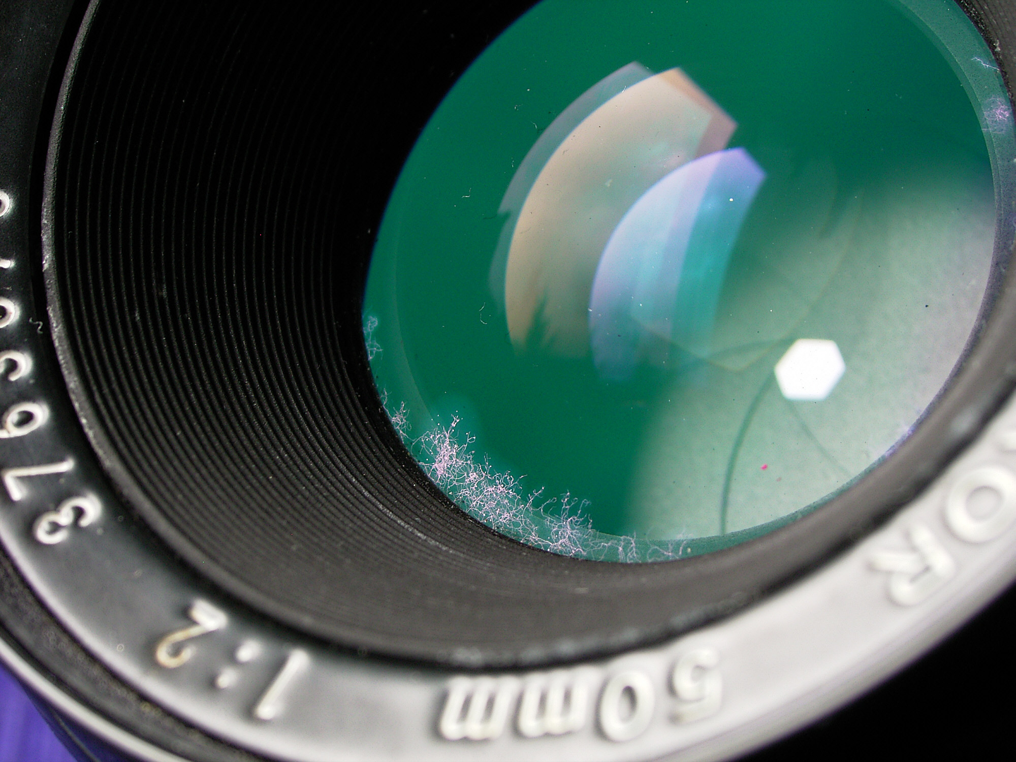 You are currently viewing Can You Clean Fungus from a Camera Lens? Causes, Removal & Prevention